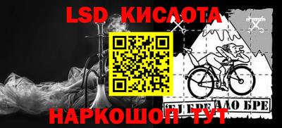 прущие грибы Нальчик