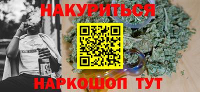 прущие грибы Нальчик