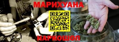 прущие грибы Нальчик