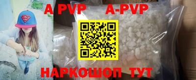 прущие грибы Нальчик